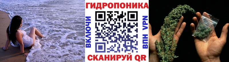 Где купить Дербент Амфетамин  Мефедрон  Codein  Альфа ПВП 