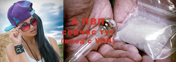 соль ск Абаза