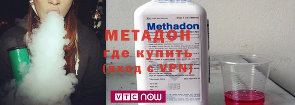 прущие грибы Горняк