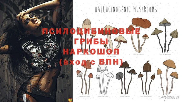 амфетамин Абинск