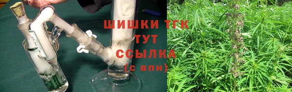 соль ск Абаза