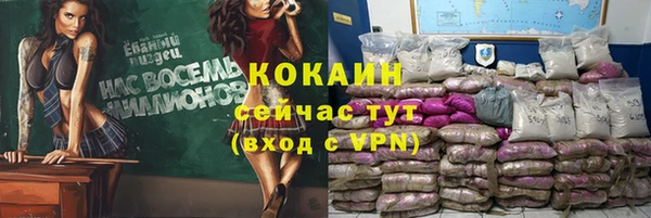 соль ск Абаза