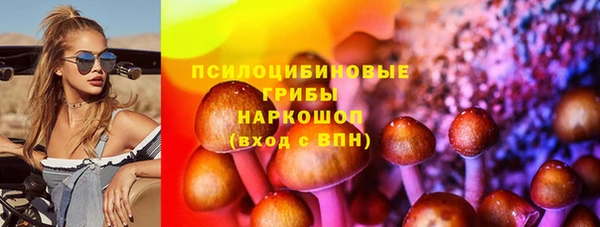 соль ск Абаза