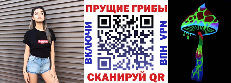 Галлюциногенные грибы Psilocybe  мега зеркало  Дербент 